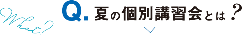 夏の個別講習会とは?