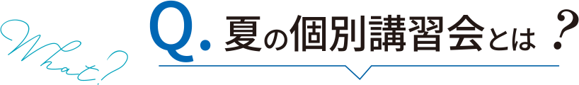 夏の個別講習会とは？